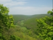 Нам 25 років