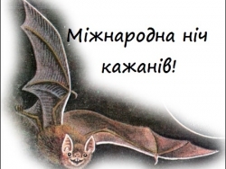 Міжнародна ніч кажанів
