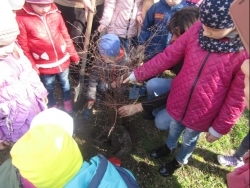 Найменші  учасники акції "Майбутнє лісу у твоїх руках"
