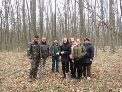 Вчись любити ліс