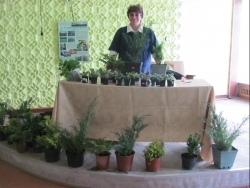 Благодійний ярмарок