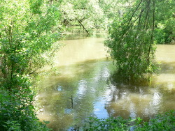 Свято світових водних шляхів.
