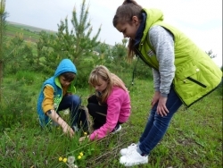 Наукова робота Калагарівського учнівського лісництва